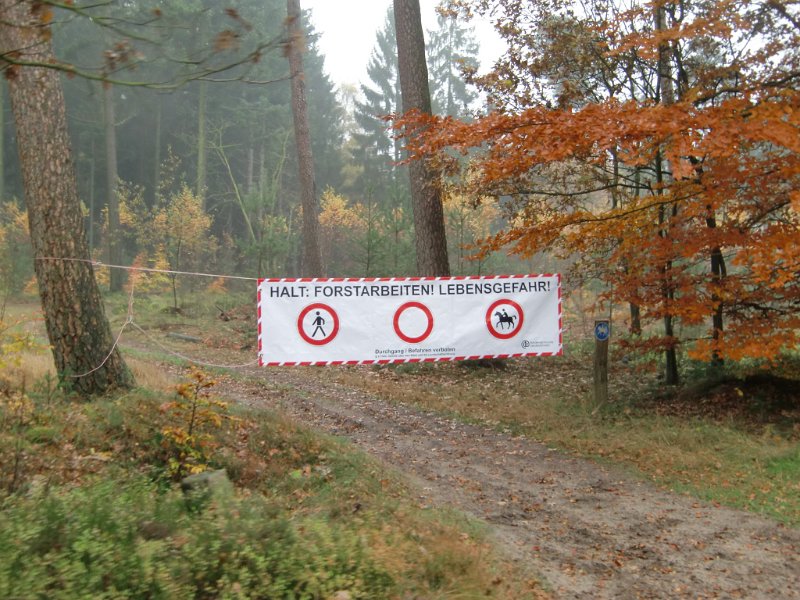 Wilseder Berg 1 2010 053
